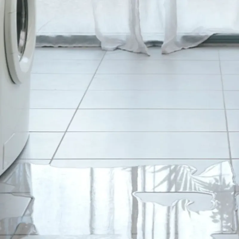 Appliance Leak Cleanup in Paxton, IL