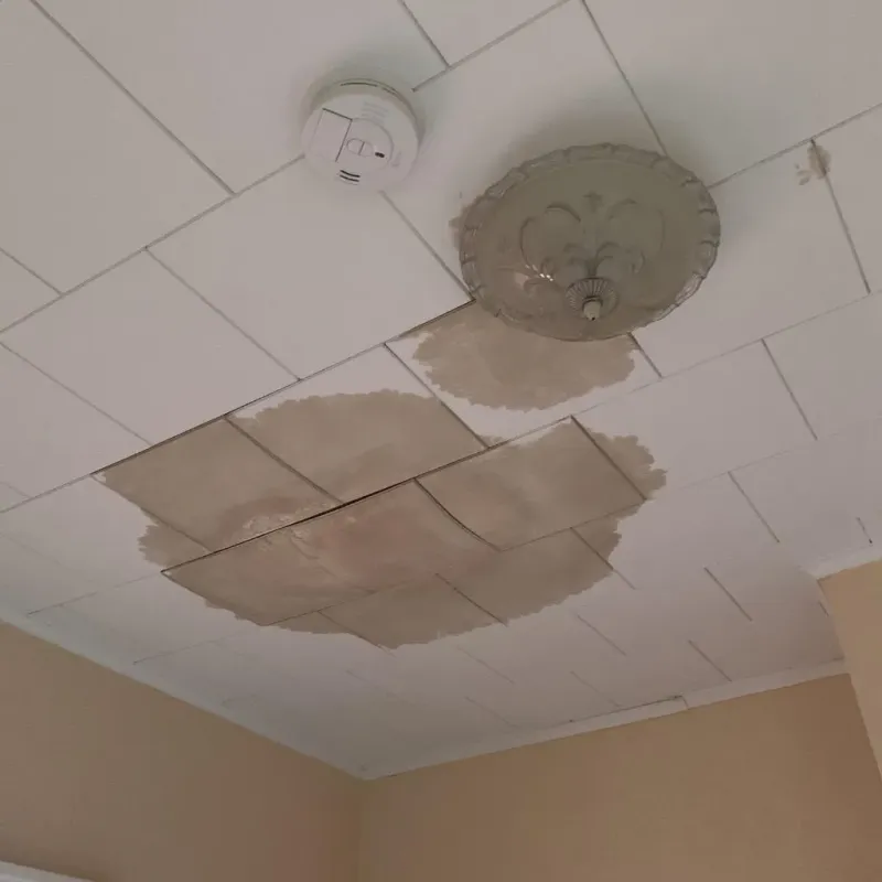 Ceiling Water Damage Repair in Paxton, IL