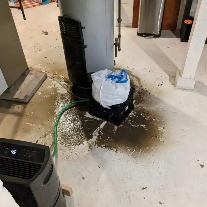 Sewage Backup Cleanup Service in Paxton, IL